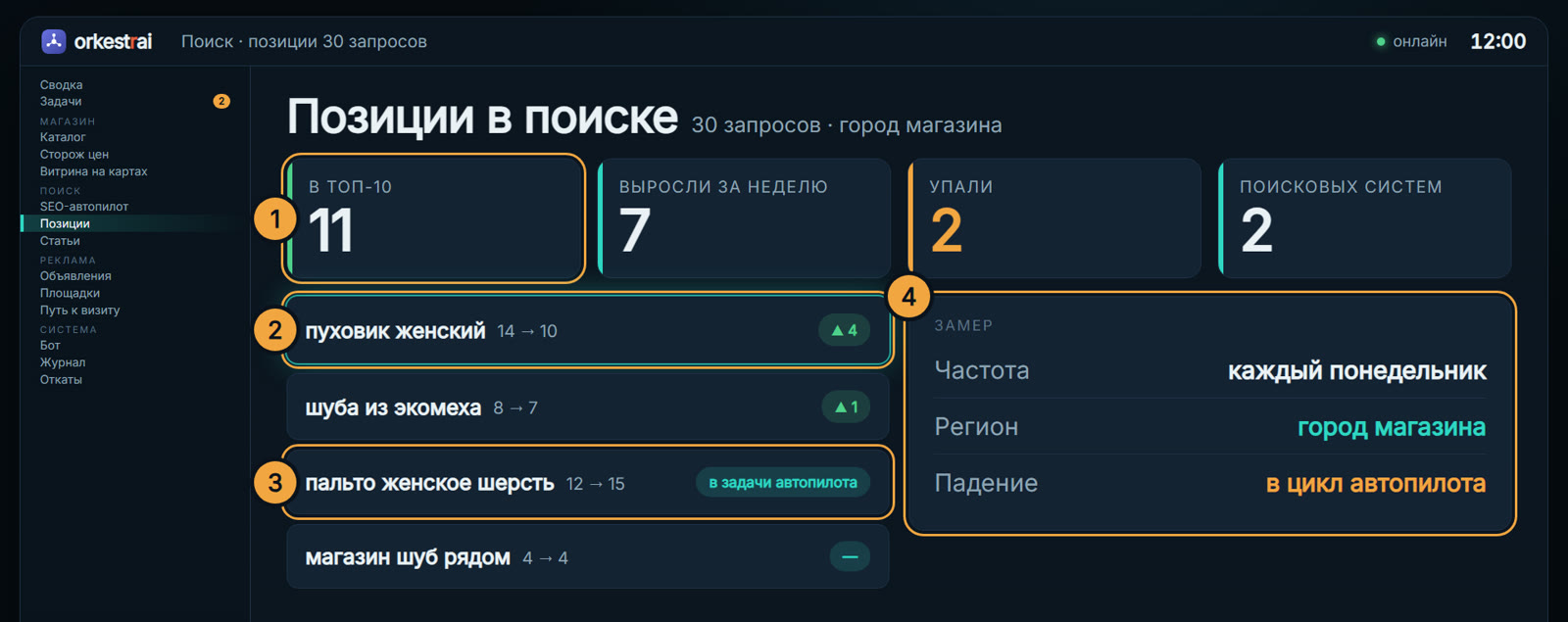 Позиции в поиске: «Пуховик женский» поднялся с 14-го на 10-е место
